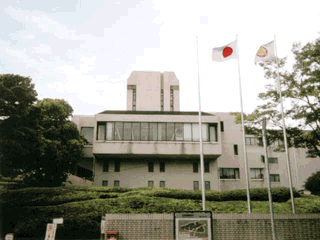 �u���̊ہv���g���������s�|�吳��